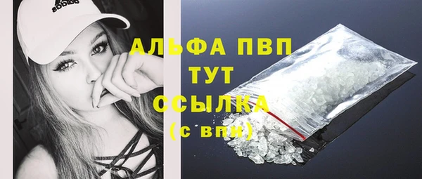 ГАЛЛЮЦИНОГЕННЫЕ ГРИБЫ Липки