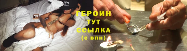 индика Лабытнанги