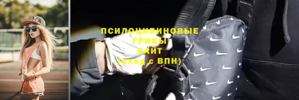 стафф Ладушкин