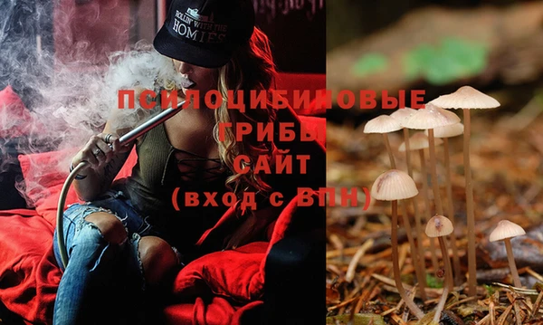 индика Лабытнанги