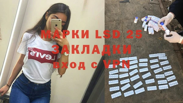 индика Лабытнанги