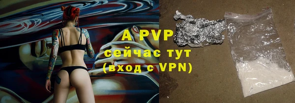стафф Ладушкин
