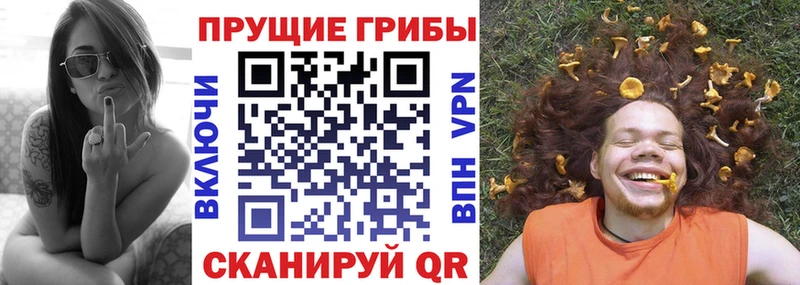 Галлюциногенные грибы Magic Shrooms  купить закладку  Лосино-Петровский 